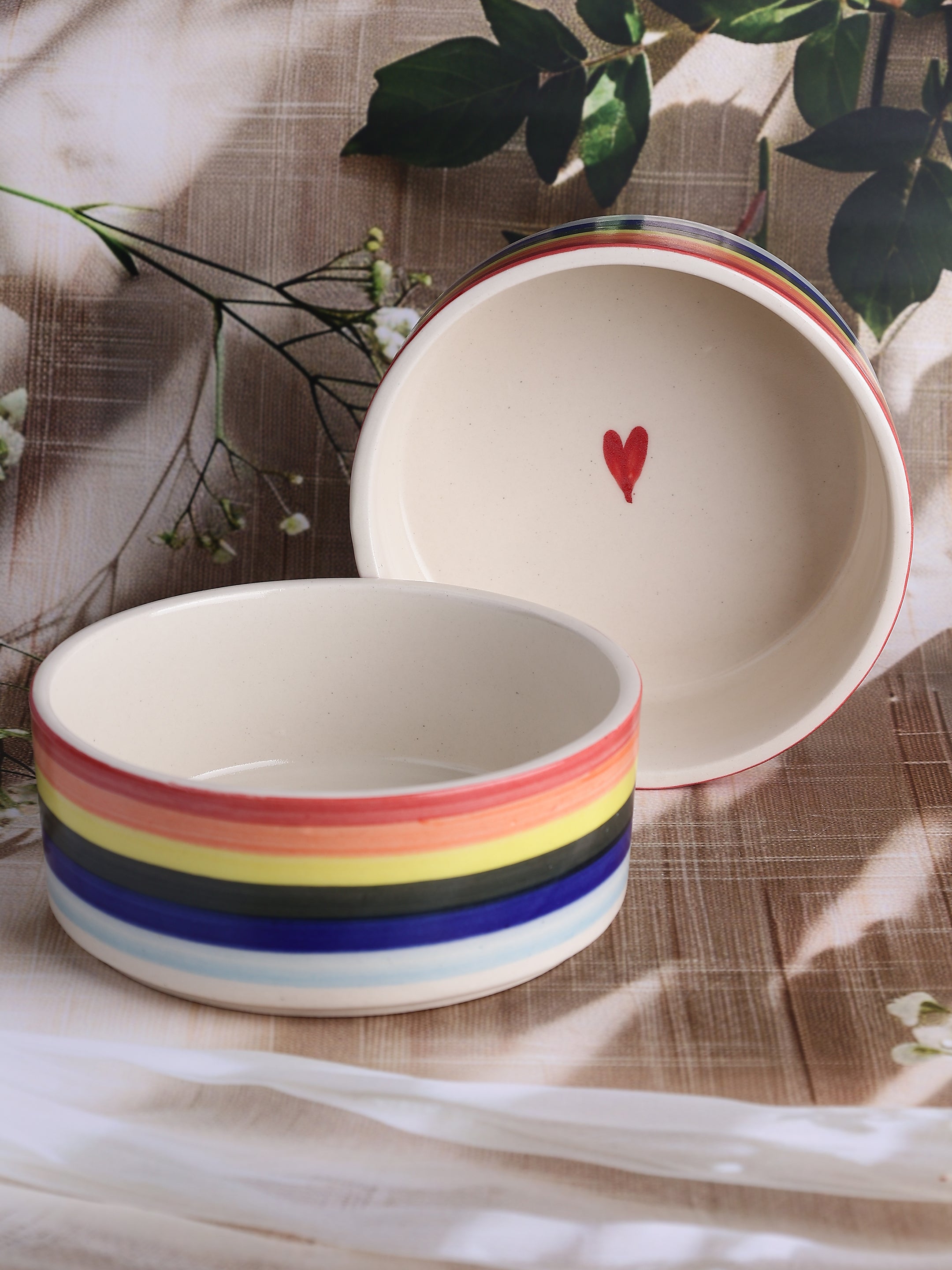 Rainbow Rhythm Bowl