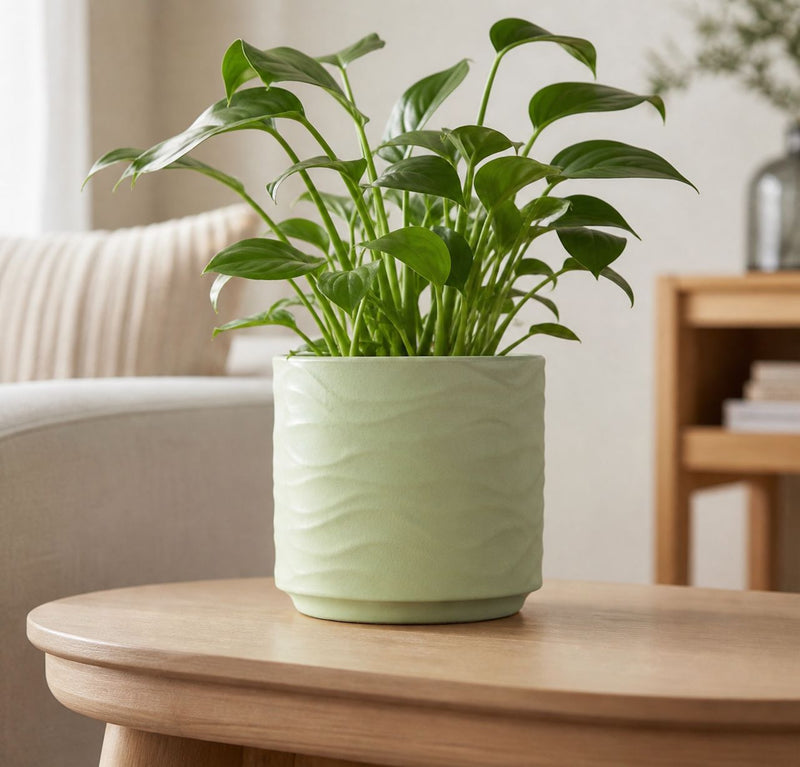 DuneWave Planter